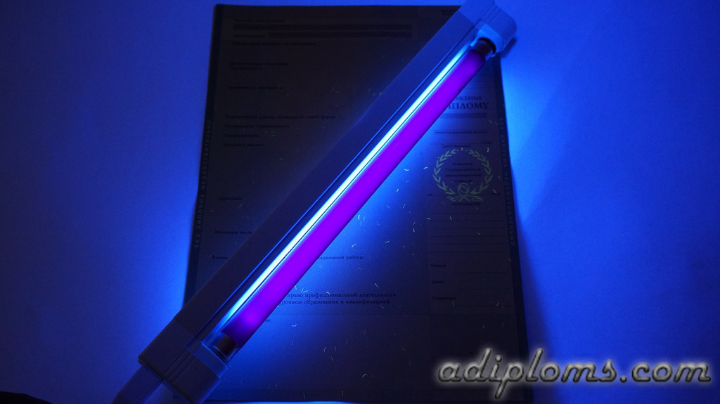 Диплом магистра 2004-2009 Фото Диплом магистра 2004-2009 Фото